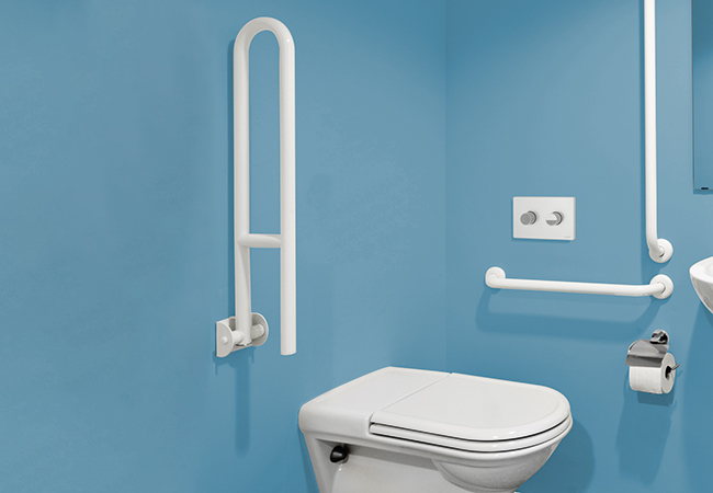 Placche WC disabili