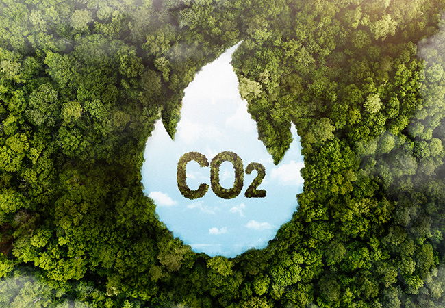 carbon footprint